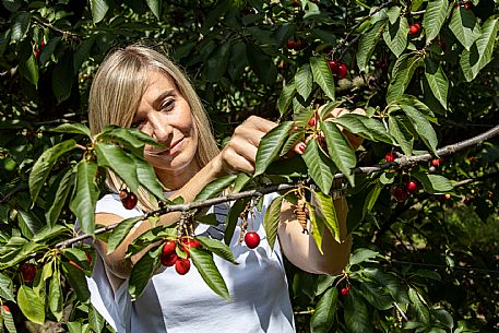 Family Experience - Picking up in the Orchards